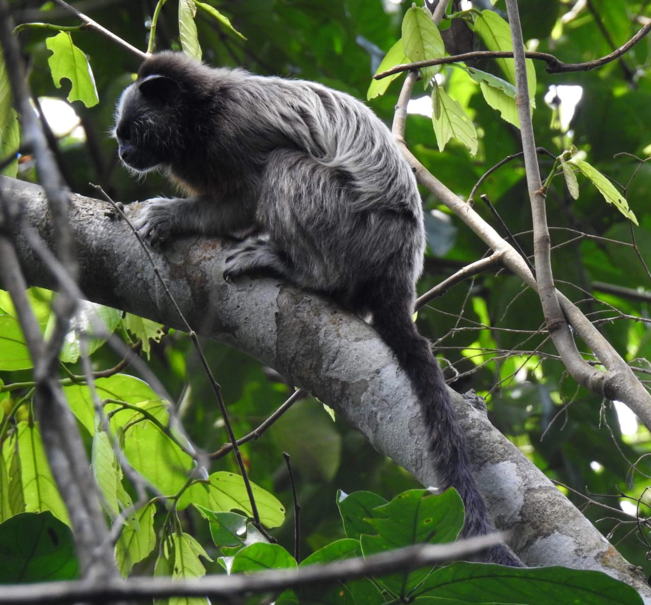 imagen-galeria-agromyss